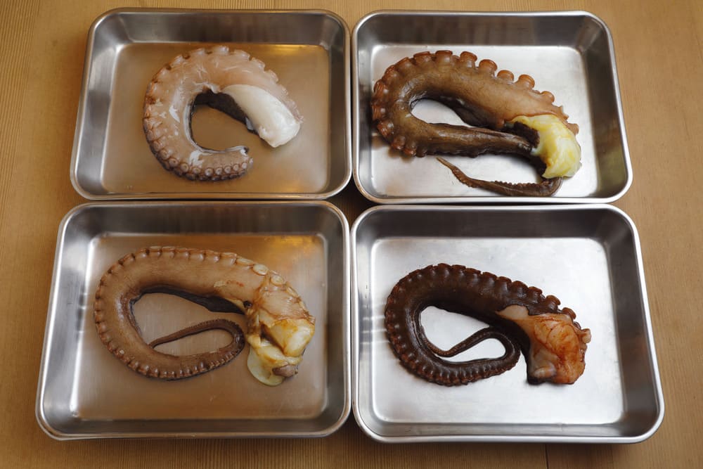 タコのぬめり取り実験