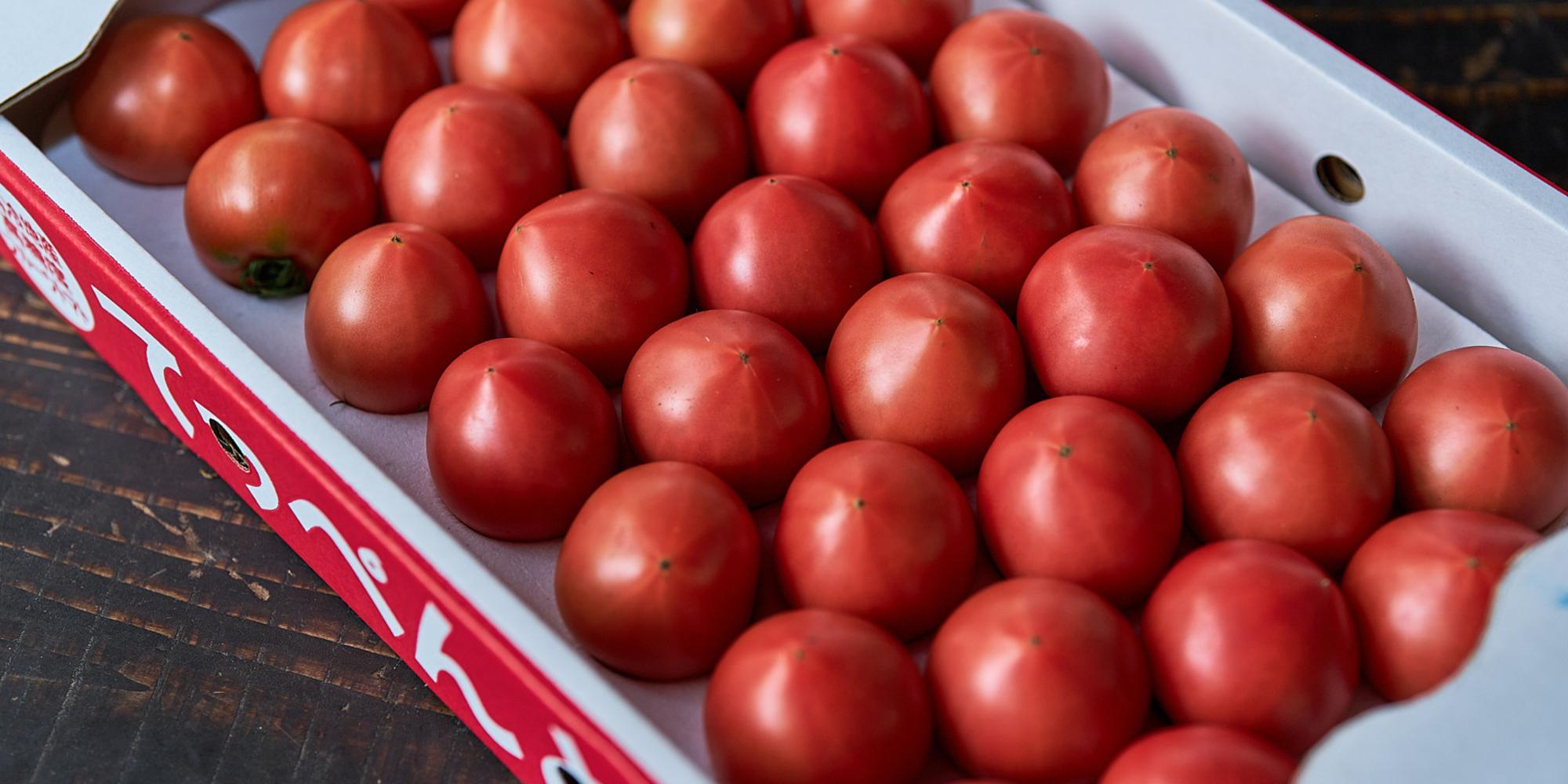 際立つ酸味と甘み。標高830mの山で育つ「てっぺんとまと」 ｜ WA・TO