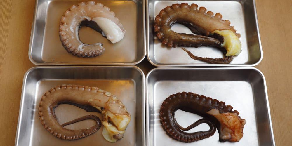 タコのぬめりはお茶で取れる Wa To Bi 和食の扉
